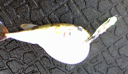 F1000432.jpg