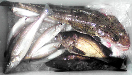 F1003939.jpg