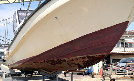 IMG_0157.jpg