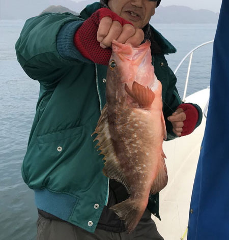 ガンさんの釣りバカ日誌 一つテンヤ対タイラバ