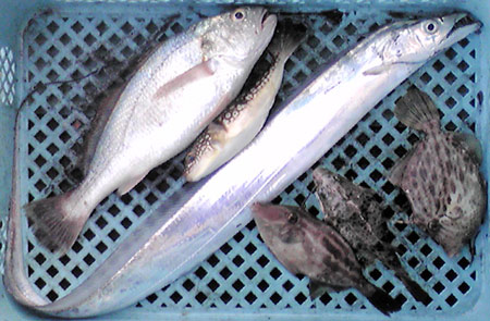 20101128.jpg