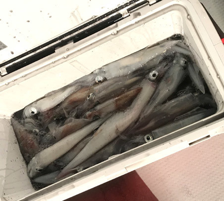 日本海.