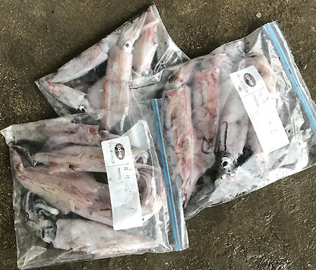 剣先烏賊