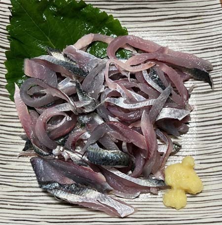 IMG_7380.jpg