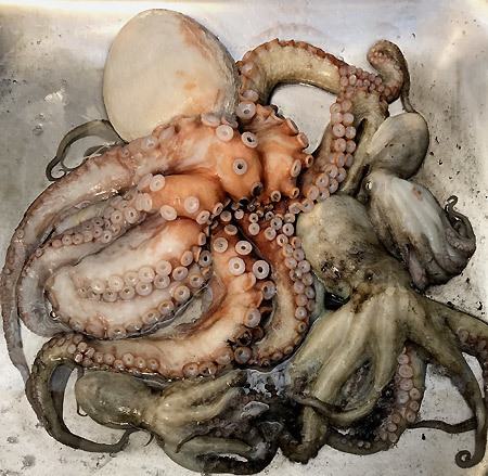 tako712.jpg